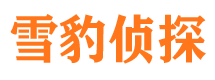 文水调查公司